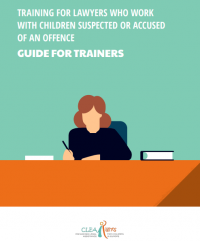 Cover of Training Guide for lawyers